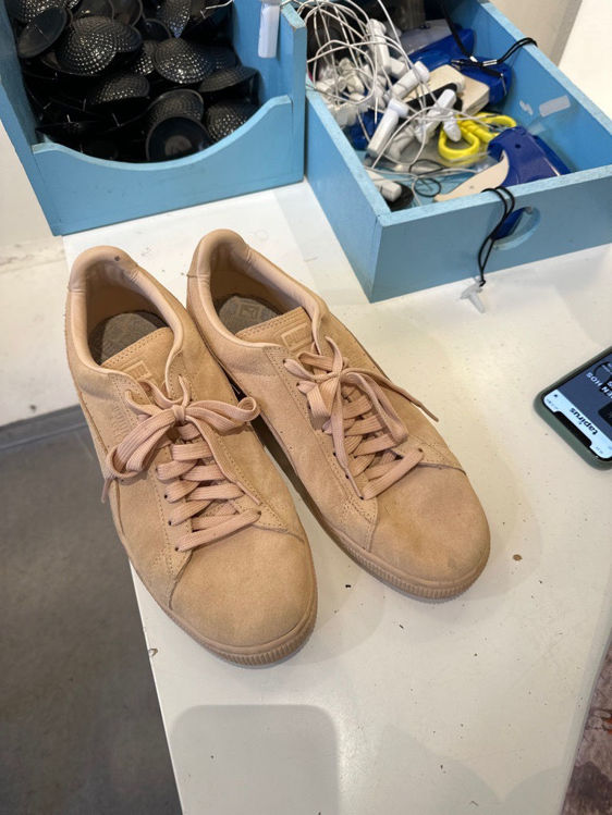 Billede af puma