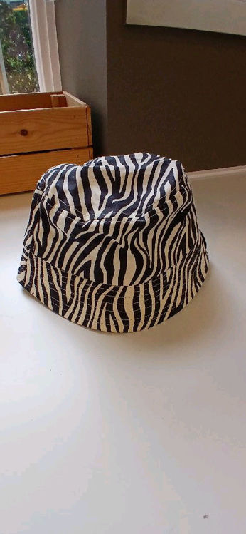 Billede af Zebra hat