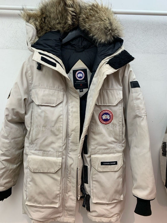 Billede af Canada goose 