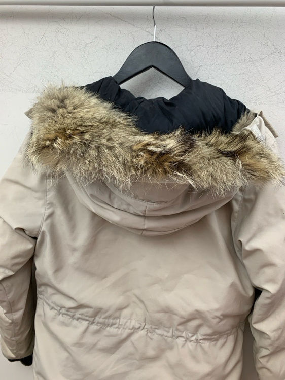Billede af Canada goose 